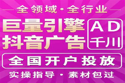 行业领先SEM托管代运营案例